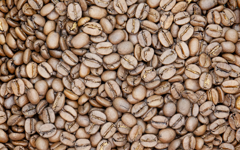 ブラジルサントスNo.2