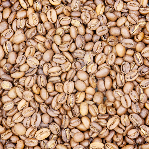 エチオピアゲイシャG3ナチュラル